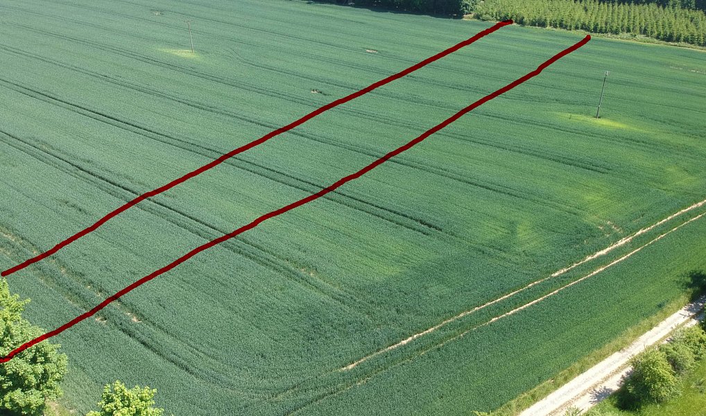 Prodej pole 5 812 m², Zvánovice – náhled fotky 5