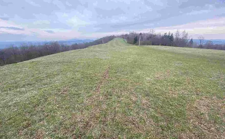 Prodej pole 20 044 m², Mírová pod Kozákovem, okres Semily