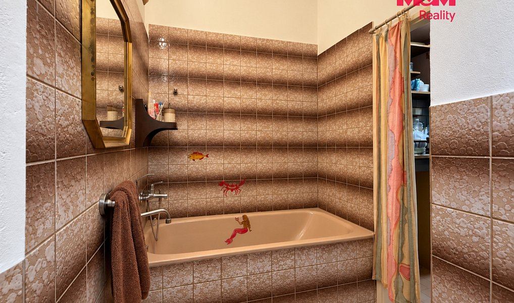 Prodej bytu 2+1 40 m², Praha – náhled fotky 8