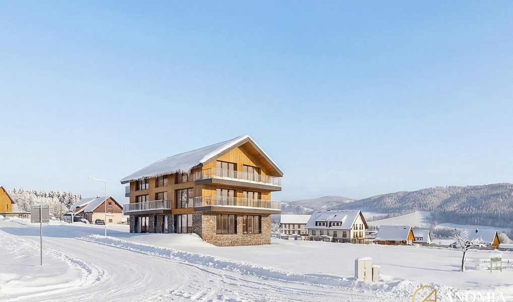 Prodej komerčního pozemku 1 410 m², Červená Voda – náhled fotky 3