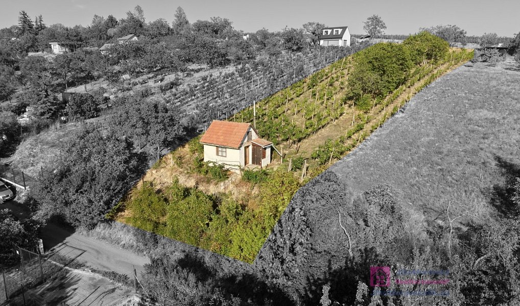 Prodej zahrady 1 256 m², Mikulov – náhled fotky 13