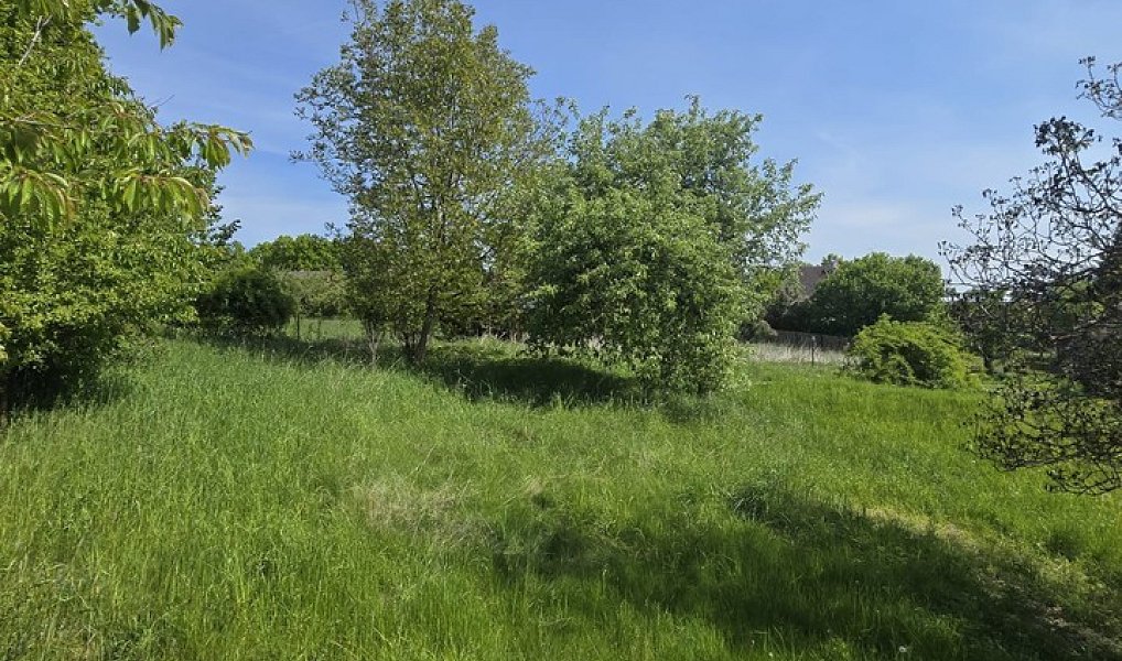 Prodej stavebního pozemku 970 m², Maršovice – náhled fotky 10