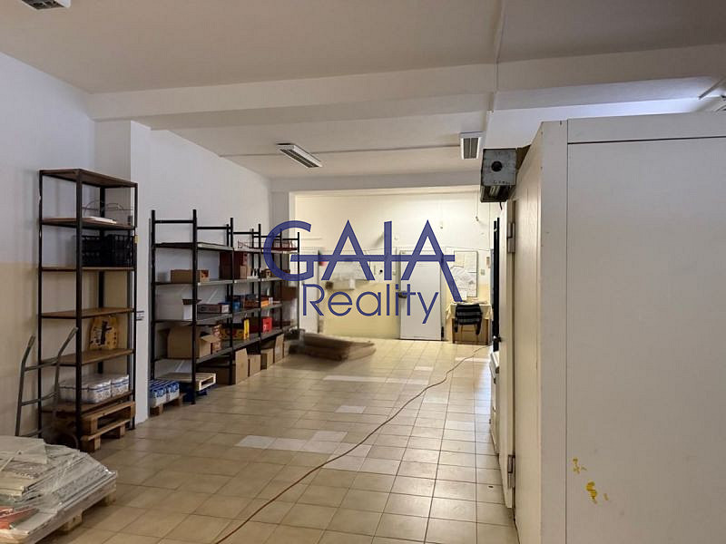 Prodej obchodních prostor 2 475 m² – fotografie 4