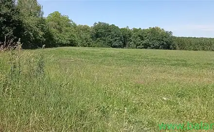 Prodej pole 9 513 m², Kobylnice, okres Brno-venkov