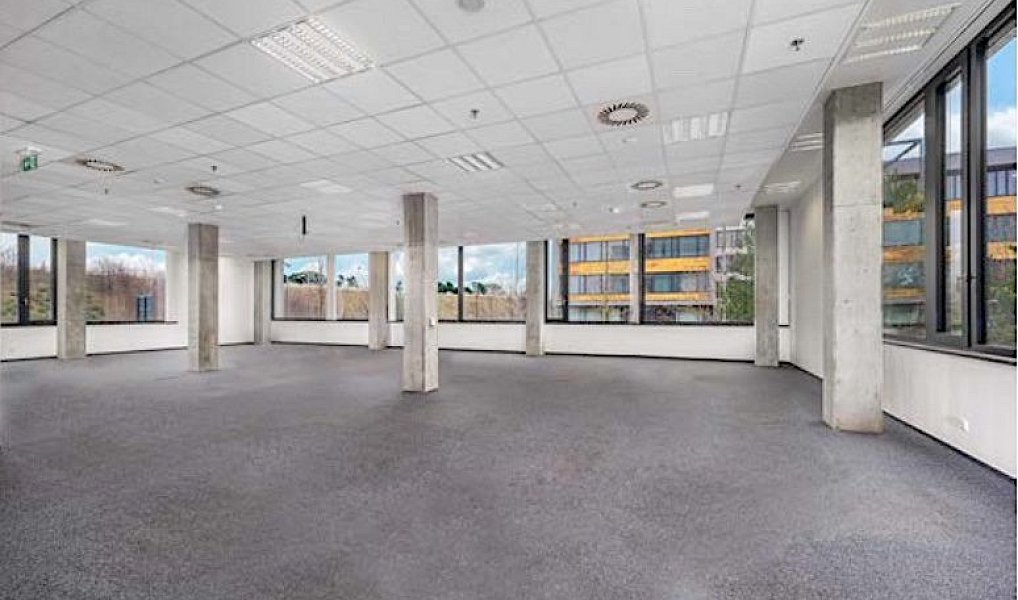 Pronájem kanceláře 902 m², Ořech – náhled fotky 5