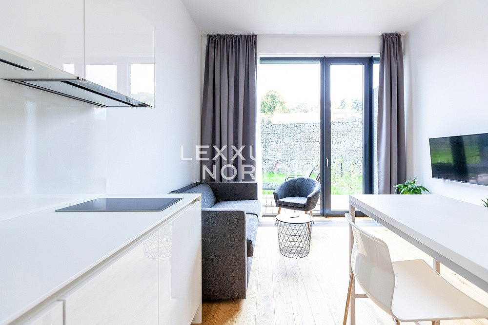 Pronájem bytu 1+kk 29 m² – další