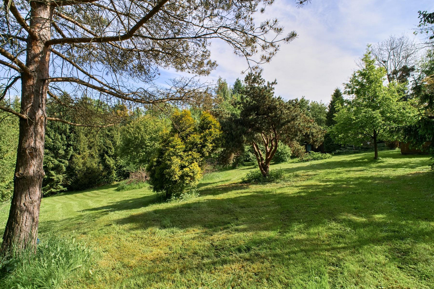 Prodej chaty/chalupy 9 m² s pozemkem 1 546 m² — photo 3