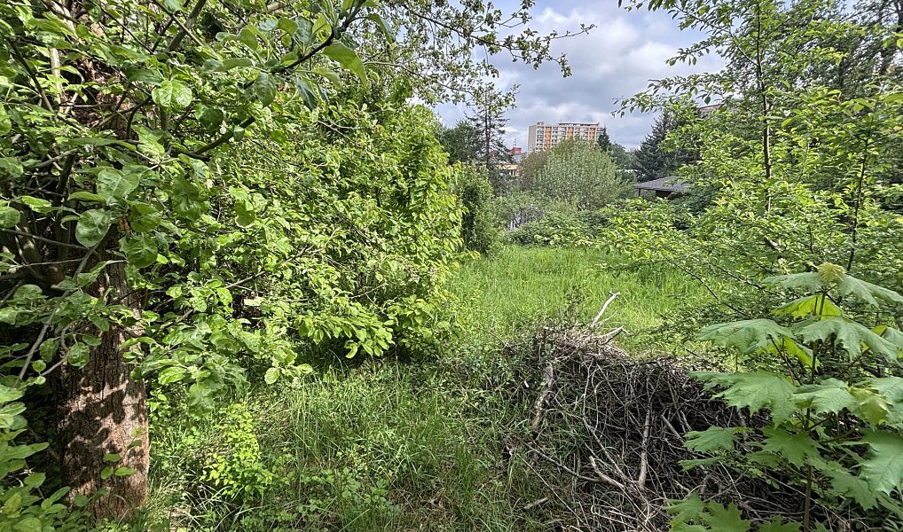 Prodej zahrady 760 m², Praha – náhled fotky 7