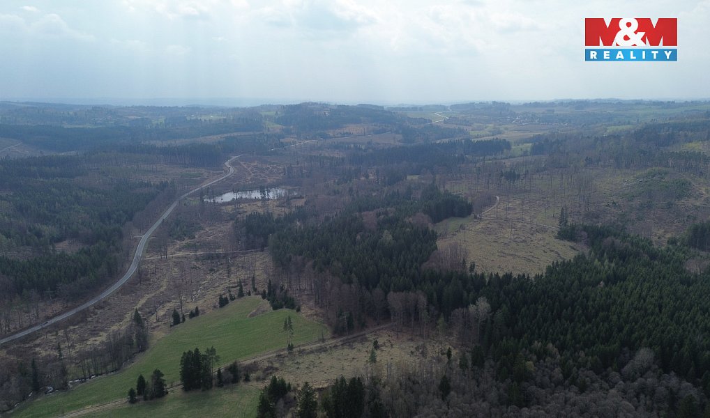 Prodej lesa 7 873 m², Mrákotín – náhled fotky 11