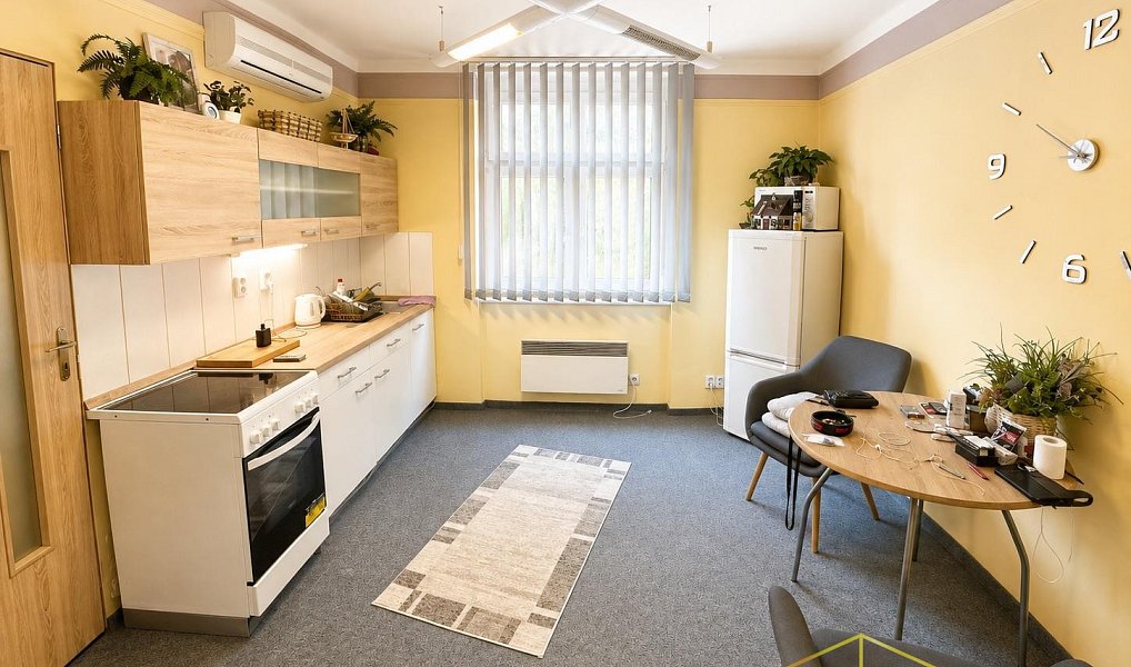 Prodej domu 400 m² s pozemkem 380 m², Teplice – náhled fotky 24