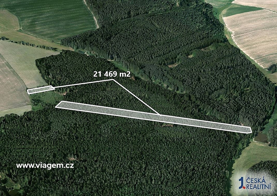 Prodej lesa 21 469 m² – fotografie 2