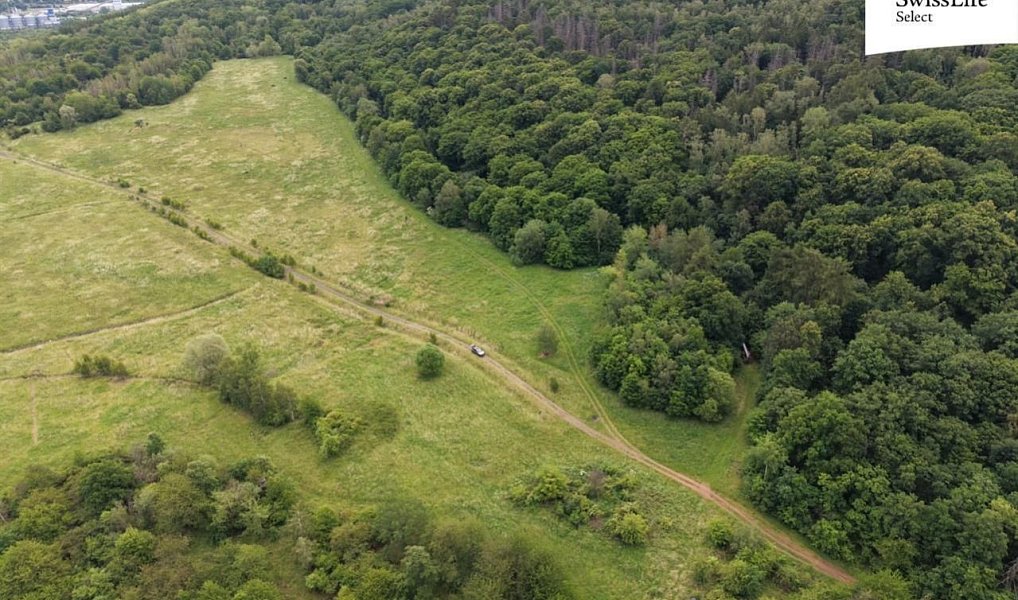 Prodej louky 216 333 m², Ústí nad Labem – náhled fotky 6