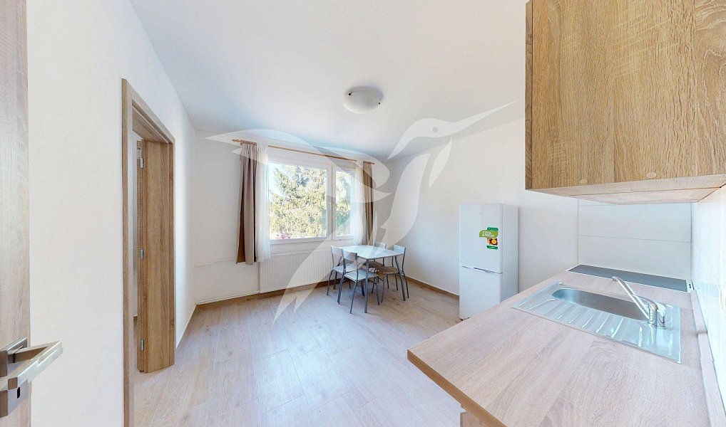 Pronájem bytu 3+kk 44 m², Dnešice – náhled fotky 4