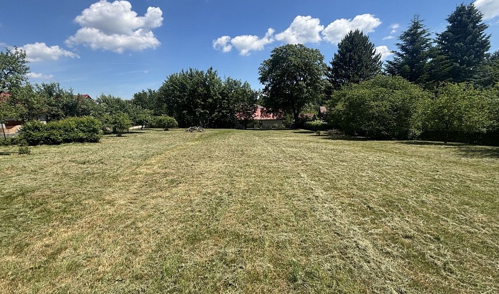 Prodej stavebního pozemku 2 226 m², Boňkov – náhled fotky 4
