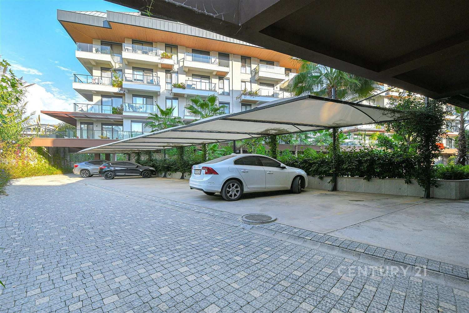 Fotka 15 z 26