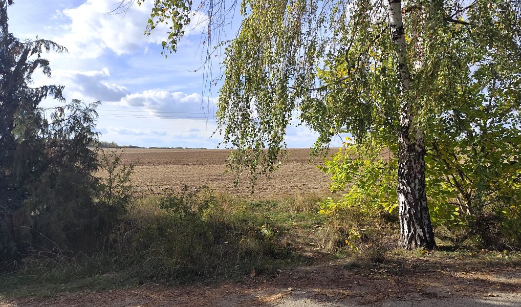 Prodej stavebního pozemku 917 m², Ketkovice – náhled fotky 2