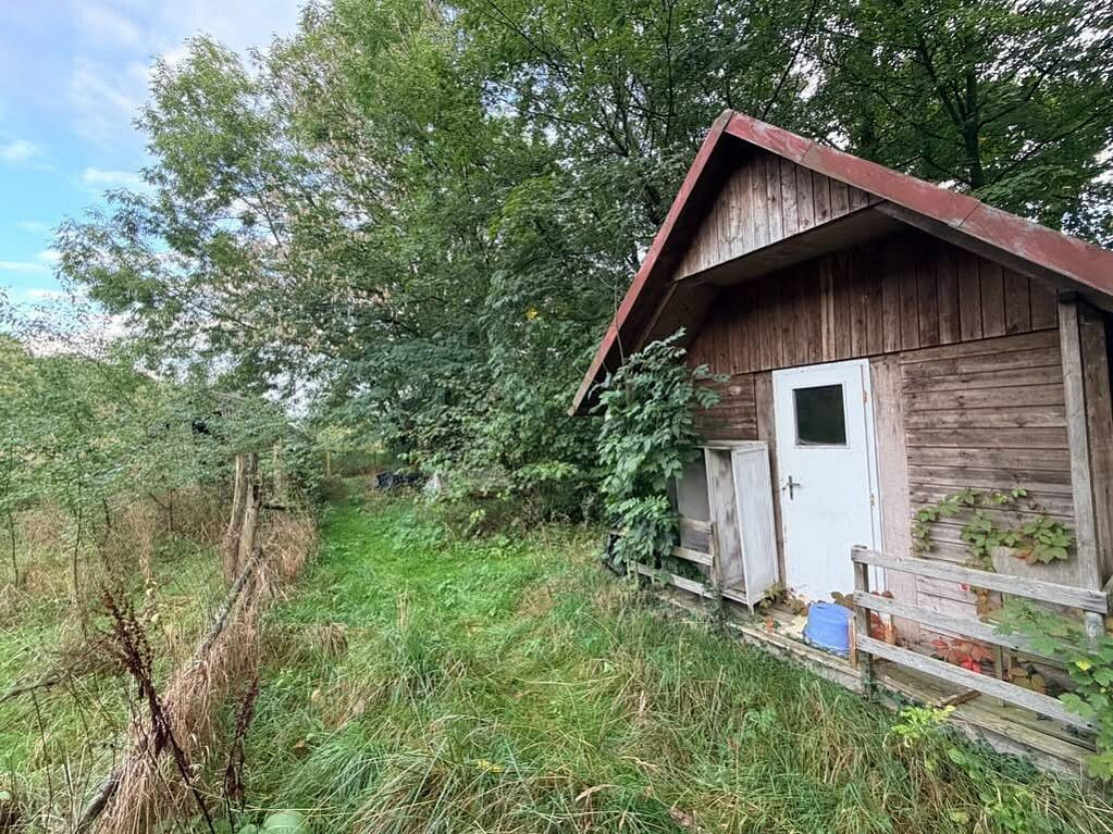 Prodej komerčního pozemku 2 559 m² – fotografie 4