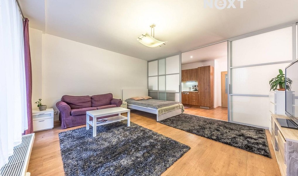 Pronájem bytu 1+1 53 m², Praha – náhled fotky 2