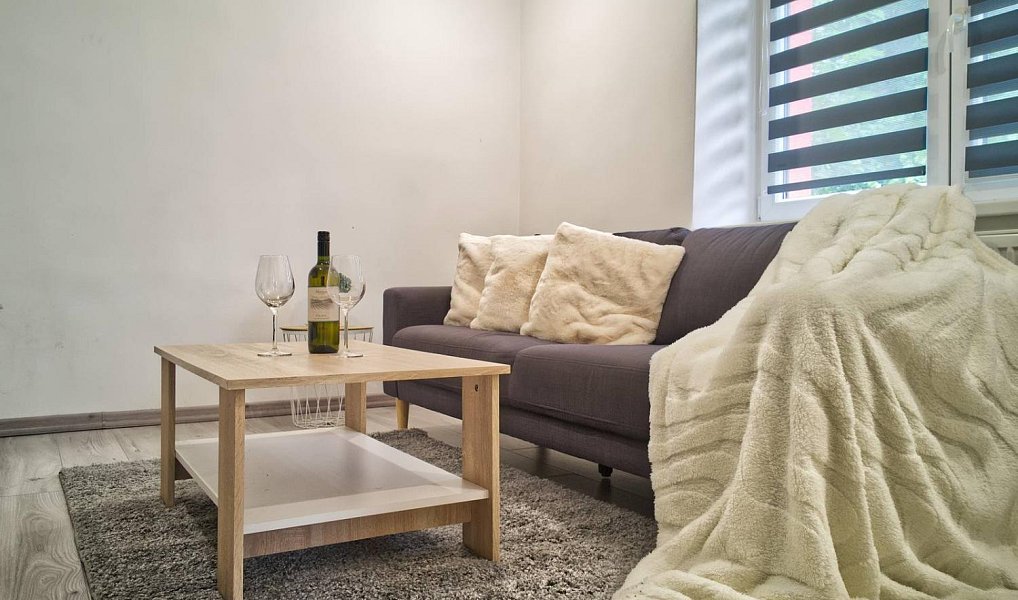 Prodej bytu 2+1 70 m², Letohrad – náhled fotky 5
