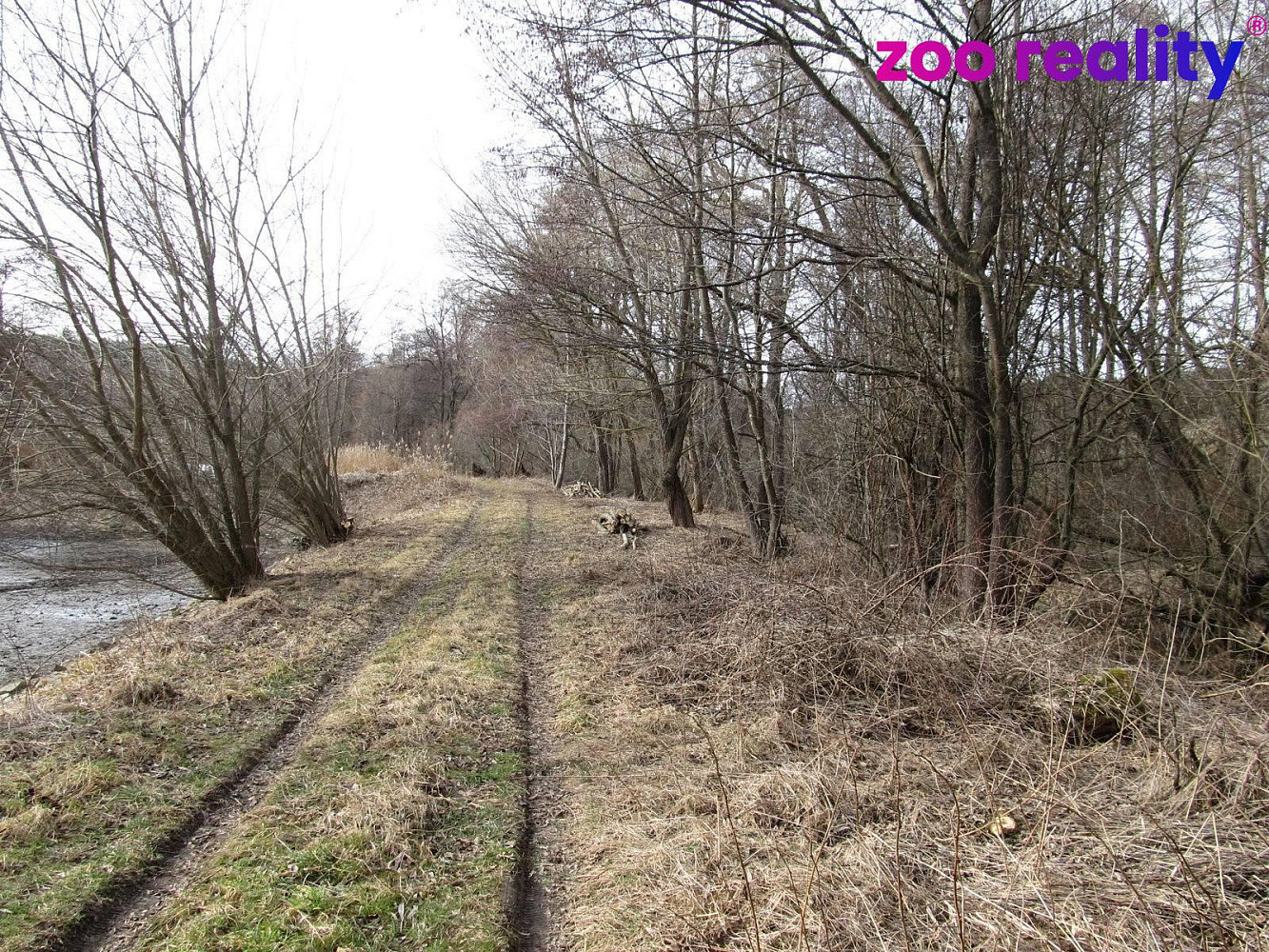 Prodej louky 11 151 m² – fotografie 4
