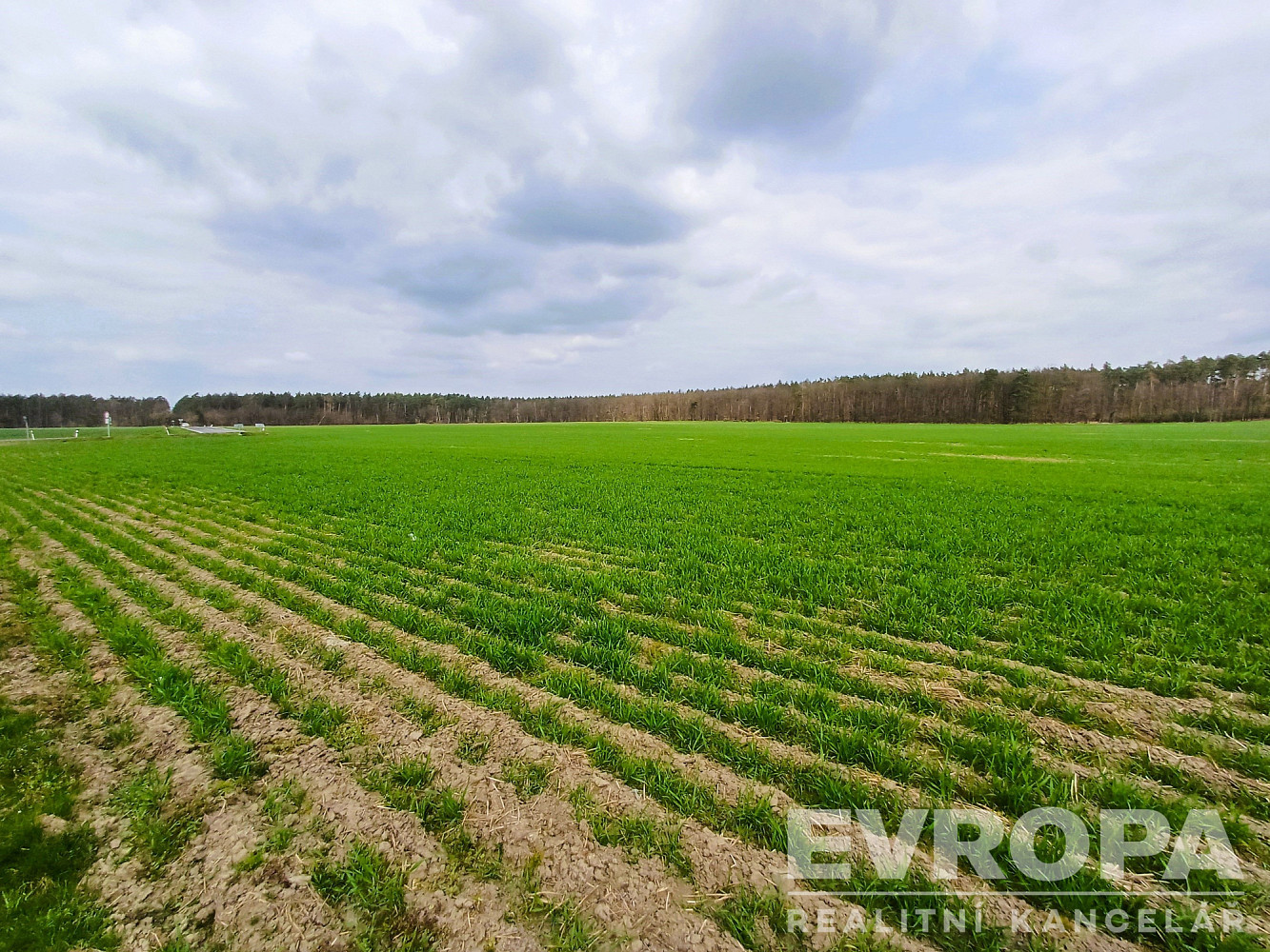 Prodej pole 27 281 m² – fotografie 5
