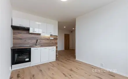Pronájem bytu 2+kk 33 m², Lidická, Most