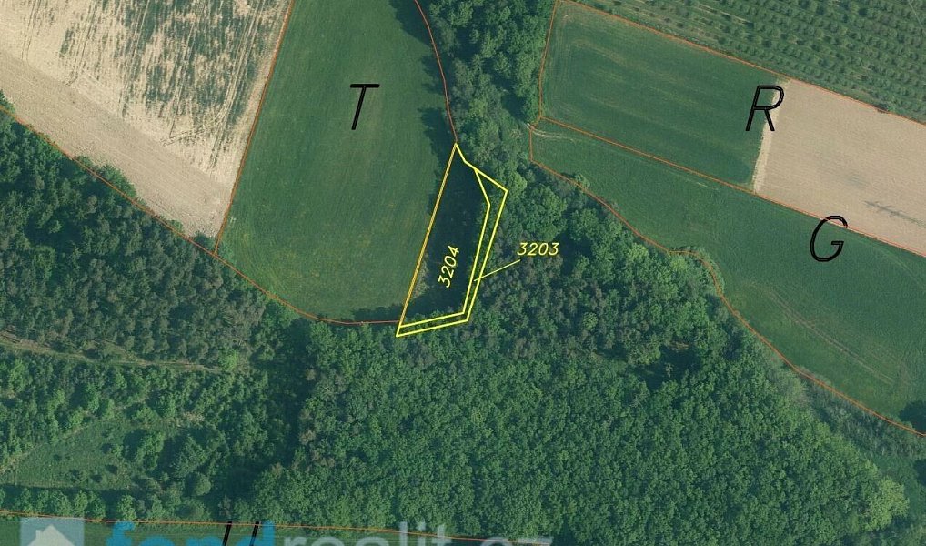 Prodej pole 5 875 m², Malovice – náhled fotky 5