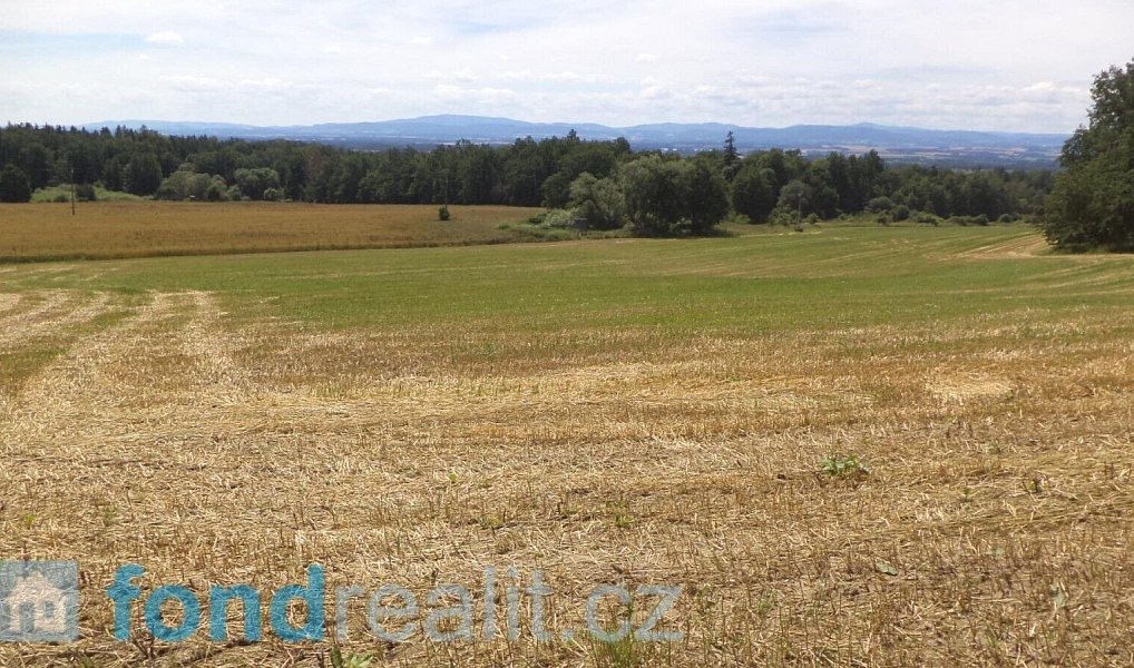 Prodej pole 18 412 m², Dříteň – náhled fotky 6