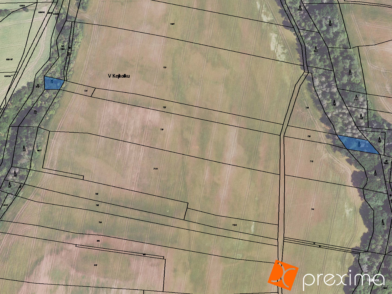 Prodej lesa 370 m², Plchov