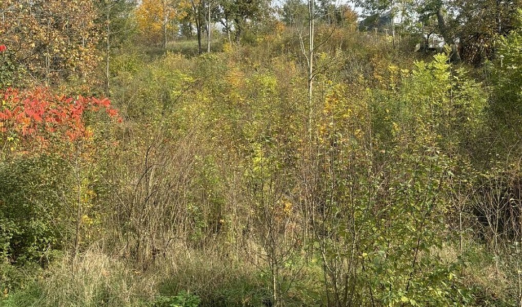 Prodej stavebního pozemku 1 100 m², Beroun – náhled fotky 4