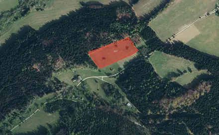 Prodej louky 14 935 m², Branná, okres Šumperk