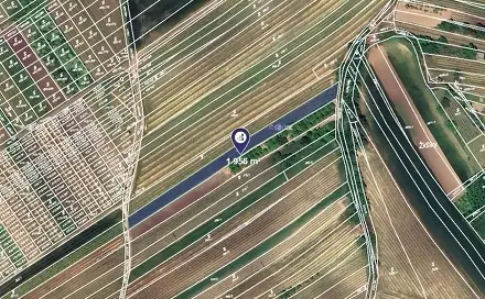 Prodej pole 1 956 m², Čejkovice, okres Hodonín
