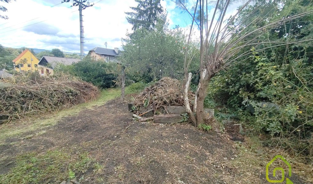 Prodej zahrady 779 m², Těšovice – náhled fotky 13
