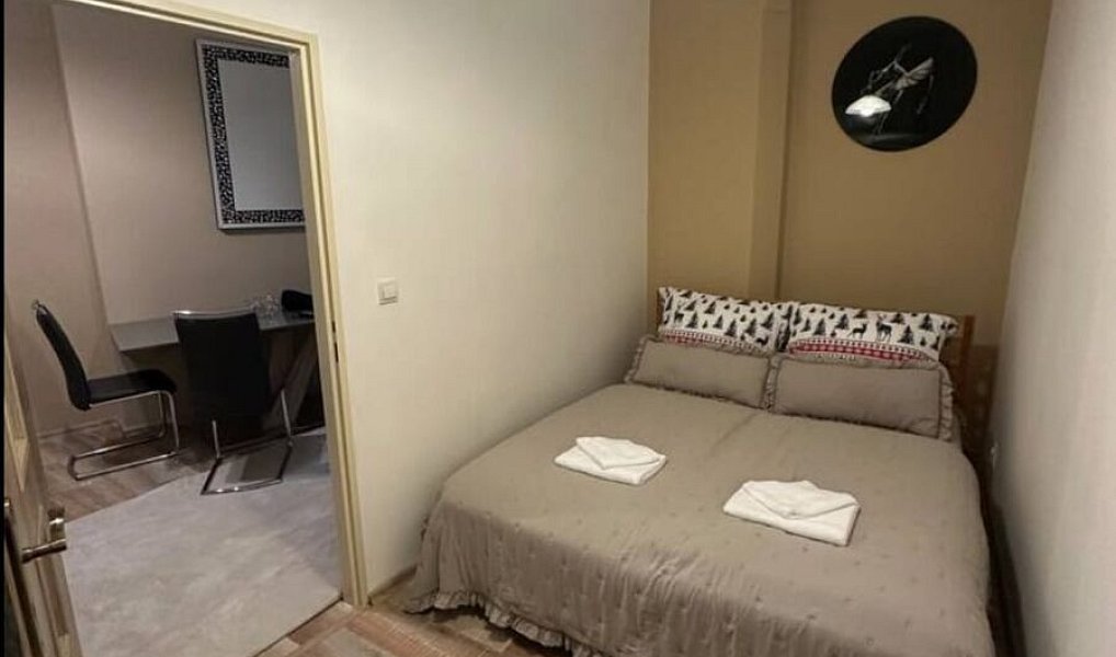 Pronájem bytu 2+kk 47 m², Karlovy Vary – náhled fotky 3