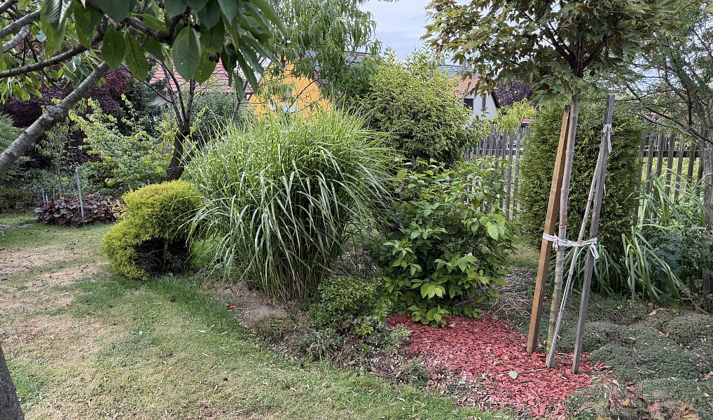 Prodej domu 250 m² s pozemkem 1 245 m², Spálov – náhled fotky 27