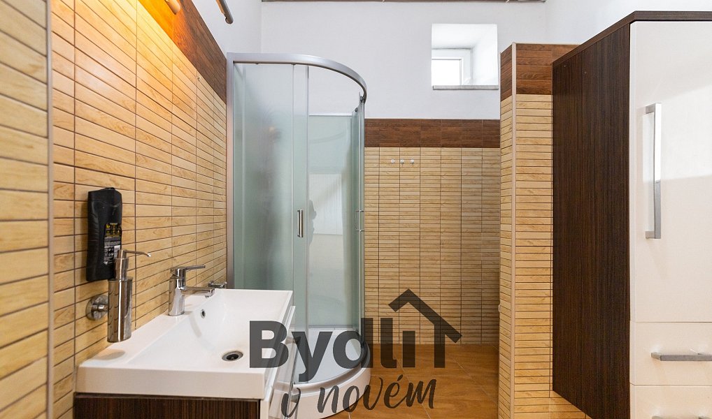 Prodej obchodních prostor 277 m², Vícenice u Náměště nad Oslavou – náhled fotky 9
