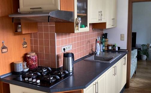 Prodej bytu 3+1 74 m², Demlova, Jihlava