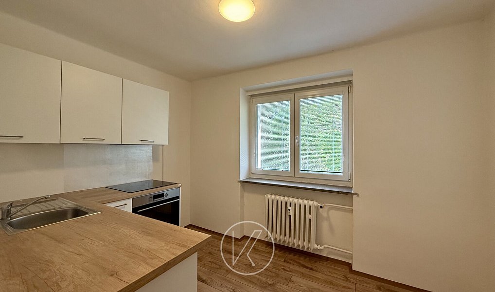 Pronájem bytu 1+1 28 m², Plzeň – náhled fotky 4
