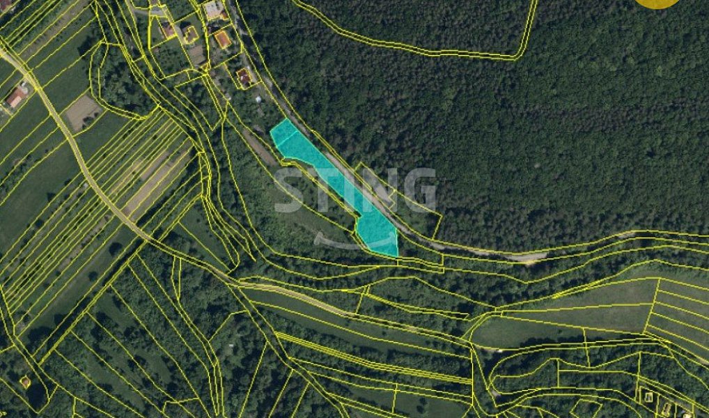 Prodej stavebního pozemku 3 693 m², Radějov – náhled fotky 9