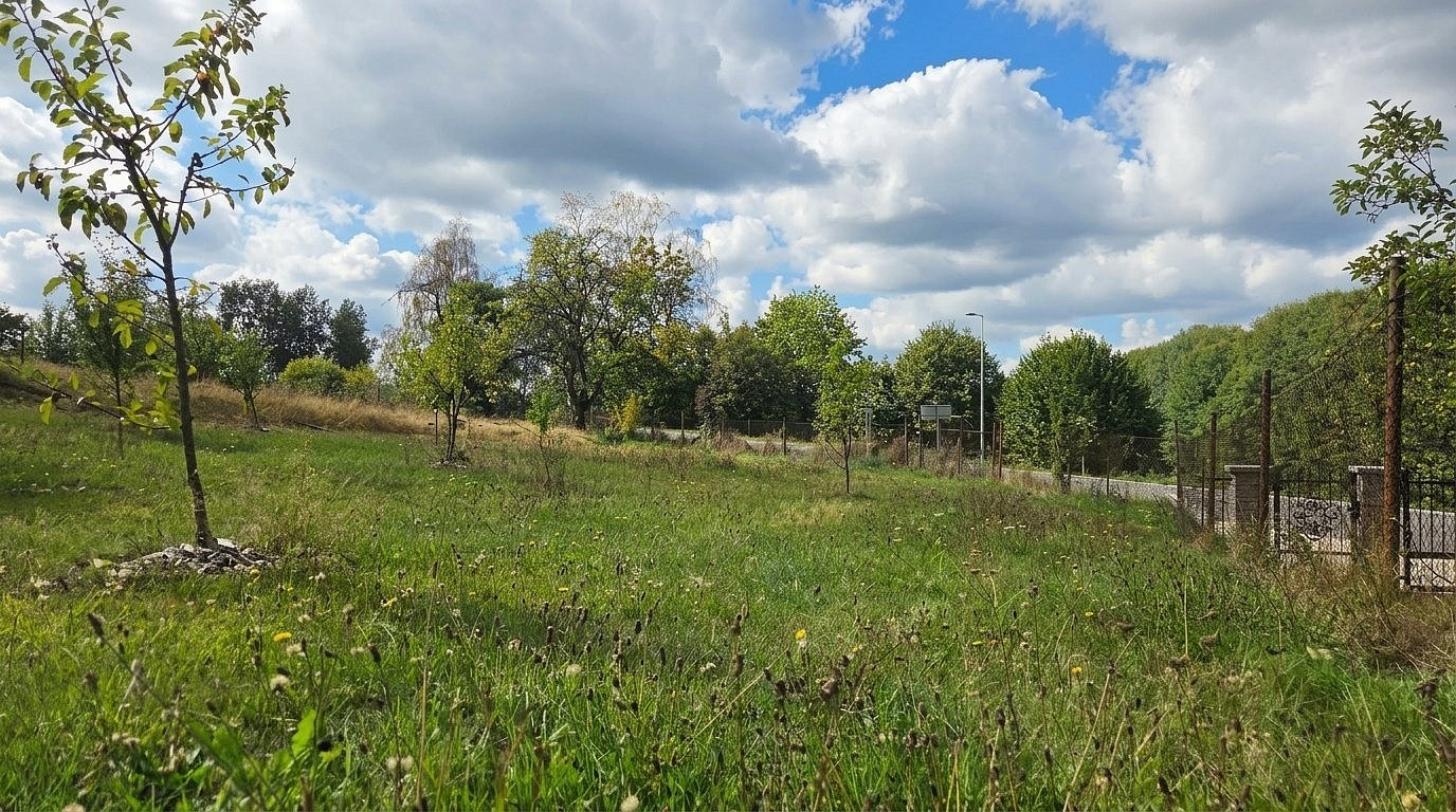 Fotka 12 z 16