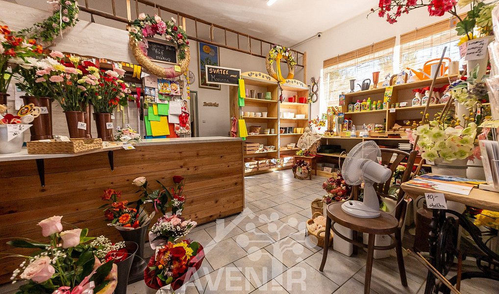 Prodej komerčního objektu (jiného typu) 329 m², Ratíškovice – náhled fotky 16