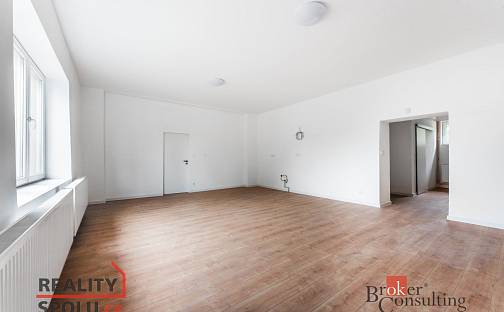 Prodej bytu 2+kk 81 m², Šenovská, Ostrava - Slezská Ostrava