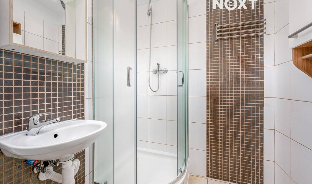 Pronájem bytu 2+1 52 m², Praha – náhled fotky 10