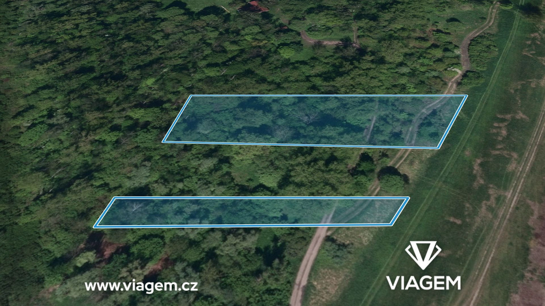 Prodej lesa 1 565 m² – fotografie 4