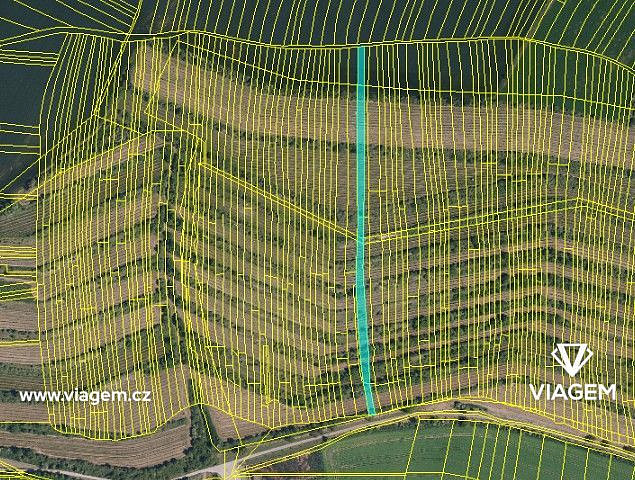 Prodej pole 2 859 m² – fotografie 2