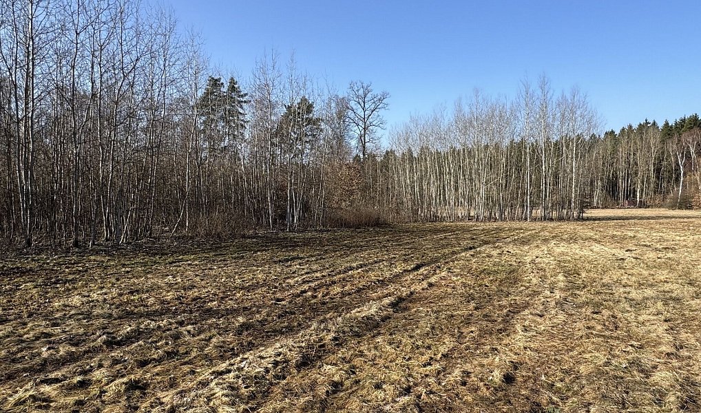 Prodej pozemku 5 750 m², Nová Role – náhled fotky 3