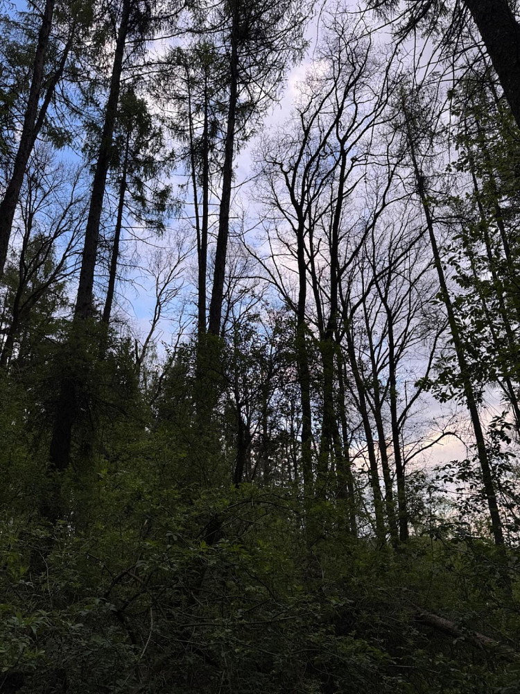 Fotka 5 z 15