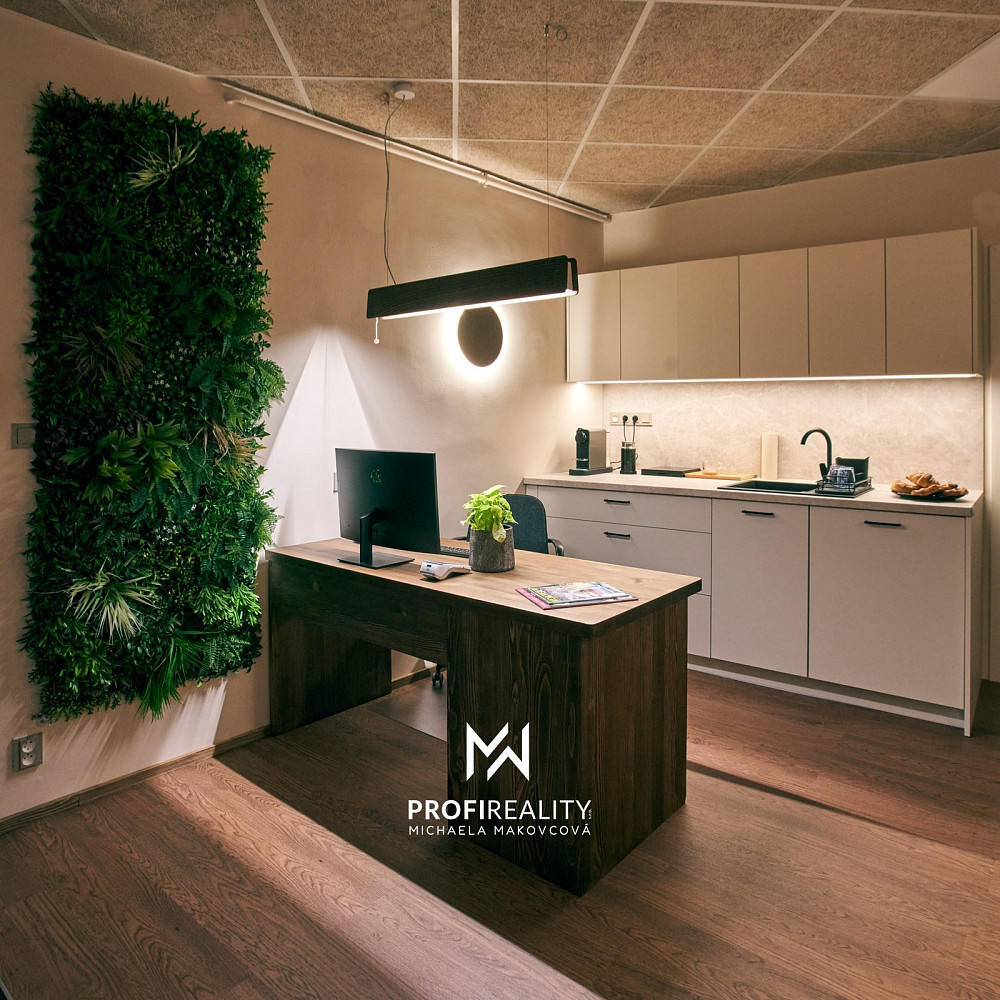 Pronájem obchodních prostor 43 m² - Widok 6