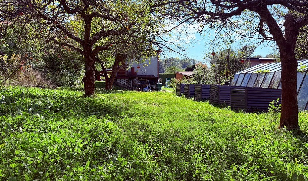Prodej zahrady 392 m², Příbor – náhled fotky 8