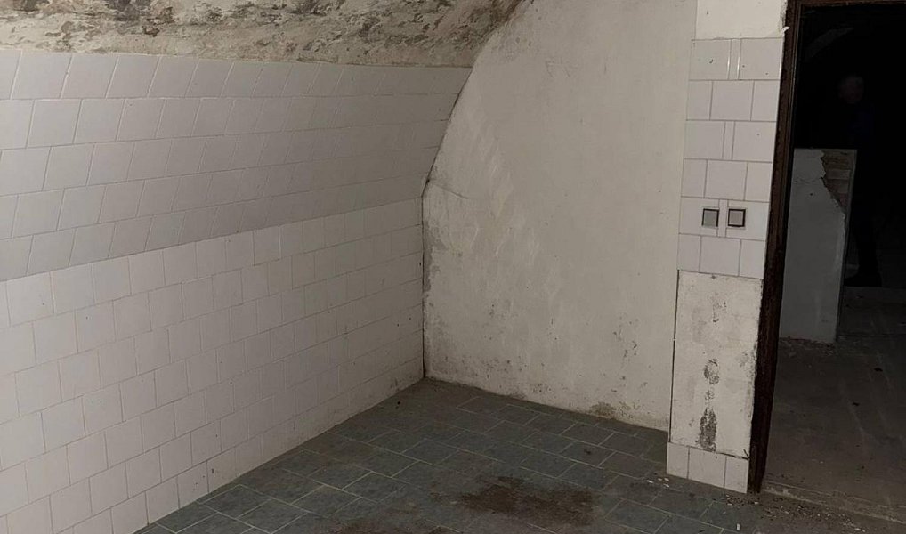 Prodej ostatní Vinný sklep, 129m2, Fulnek, Kujavy – náhled fotky 10